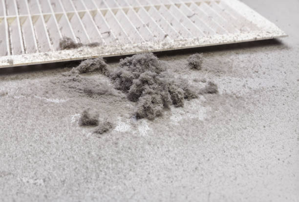 Best Air Duct Cleaning Near Me  in Warren, IN