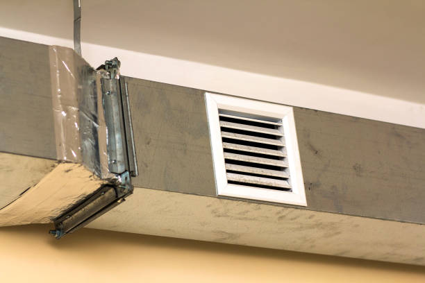 Best Local Air Duct Cleaning Services  in Warren, IN